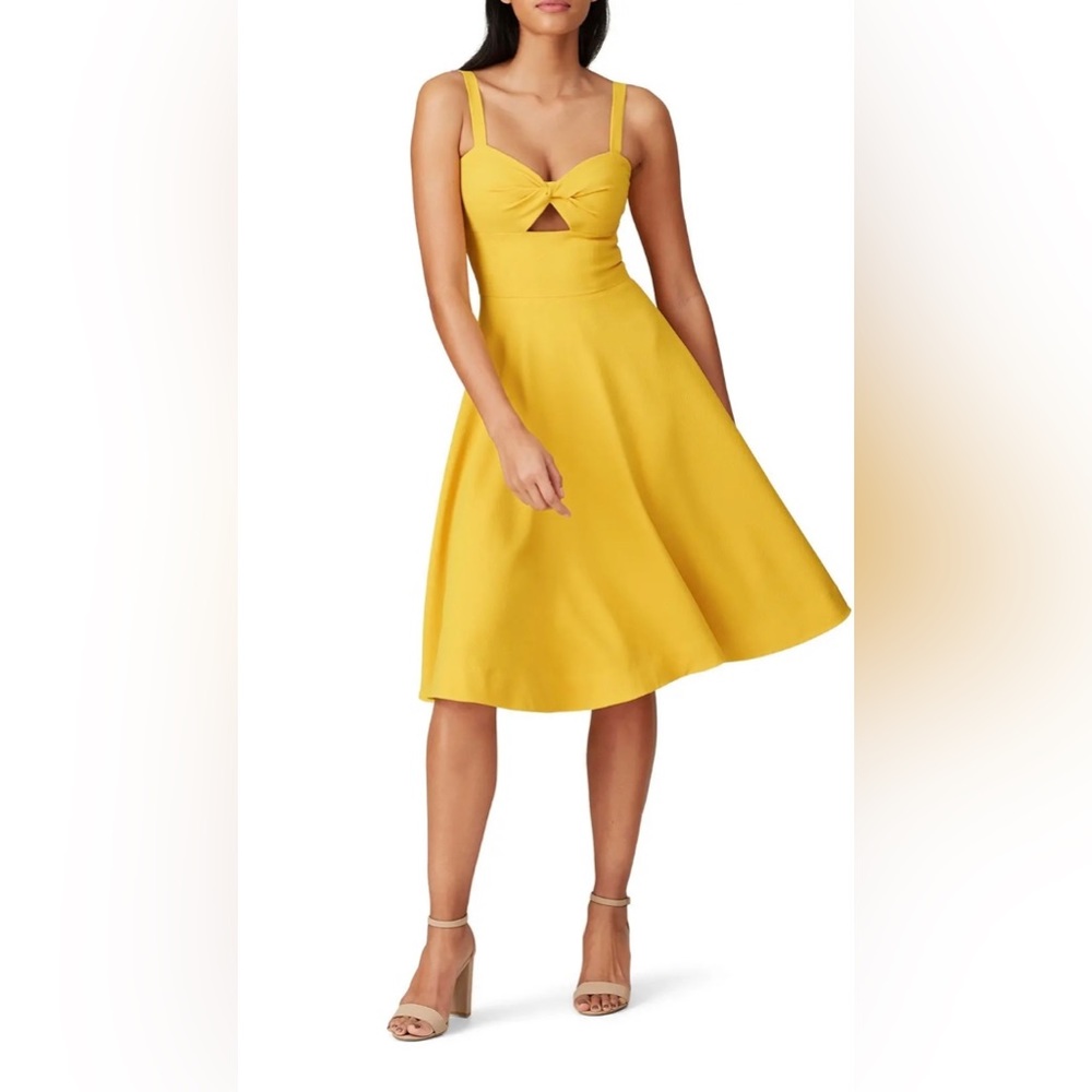 Dress The Population halter dress.